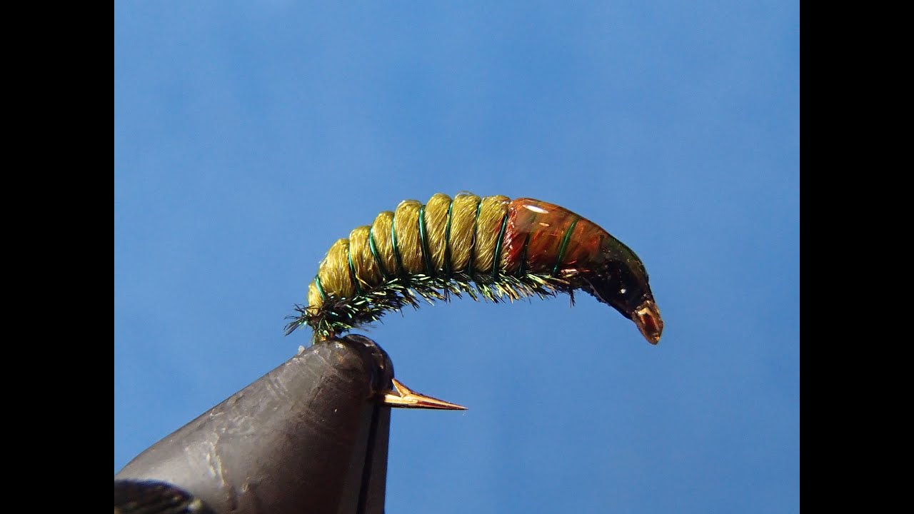 Green Rock Worm