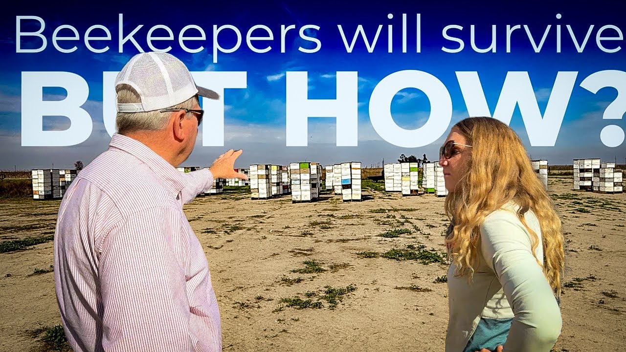 The State of the Beekeeping Industry - A Chat w/ Commercial Beekeeper Jay Miller  