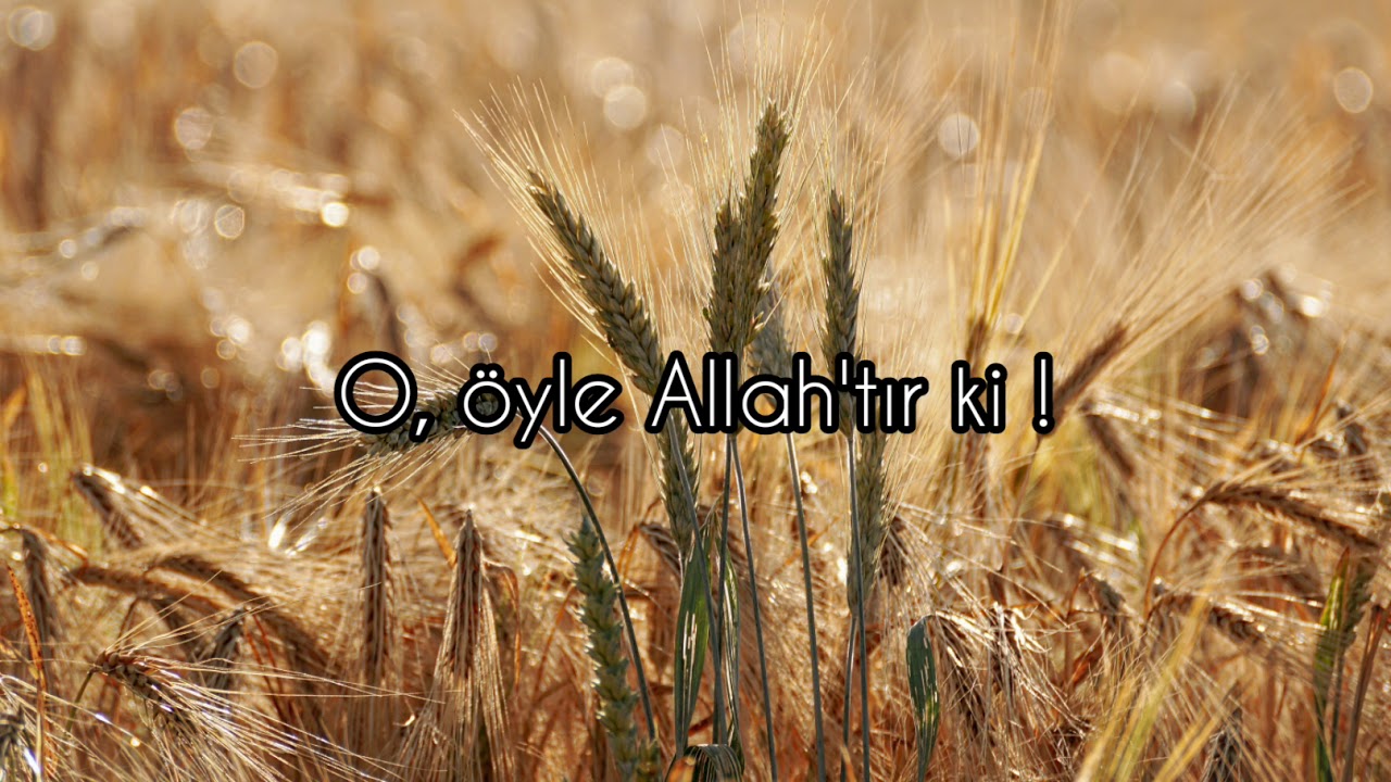 Ağlatan Haşr Sûresi-Abdullah Kamel/Kur'ân'ı Kerîm Tilaveti/(18-24). Âyetler