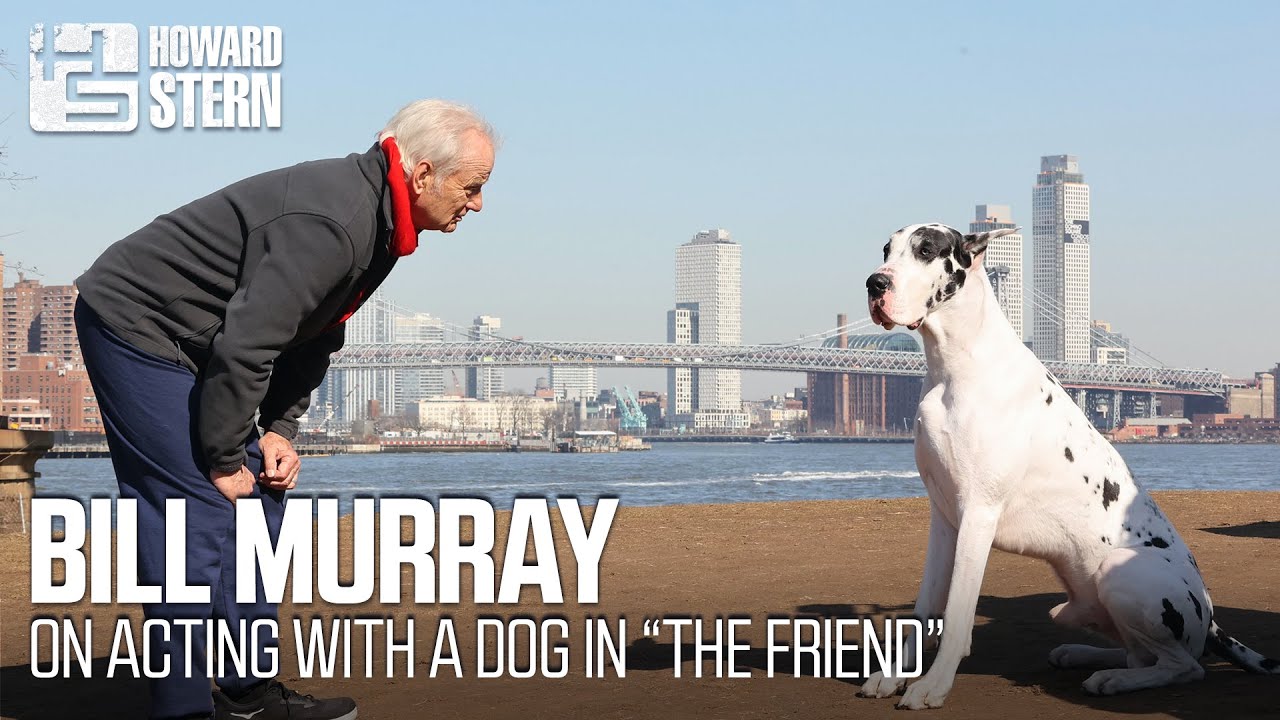 Bill Murray on Acting With a Dog in &ldquo;The Friend&rdquo;