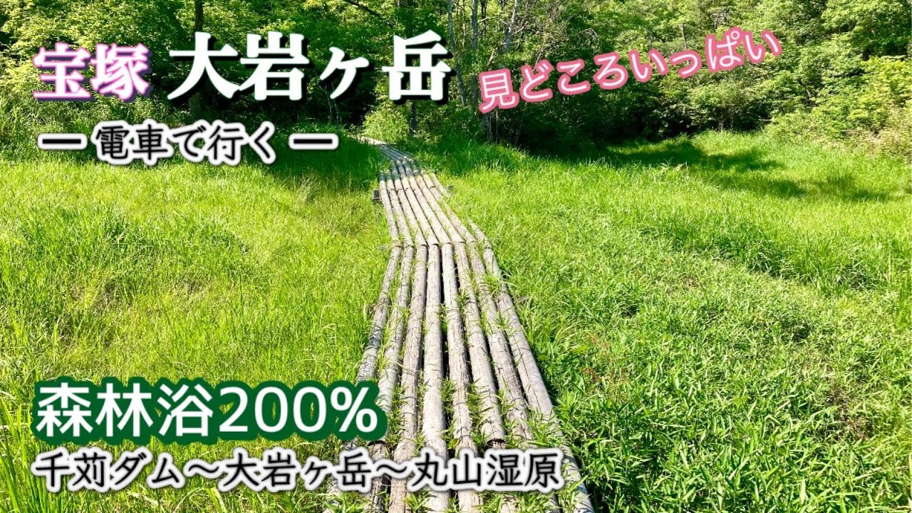 森林浴全開！見所いっぱい・水と緑の最高低山♪ 千苅ダム/ハートの池/風吹岩/湿原♪