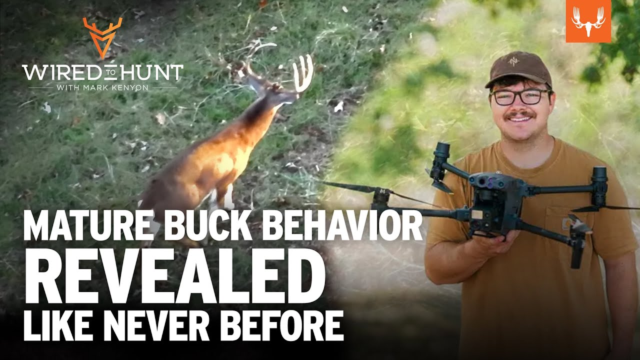 Debunking Conventional Whitetail Wisdom with Thermal Drone Research | Wired to Hunt Ep. 951