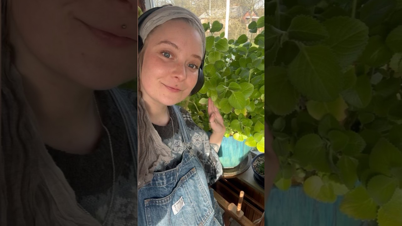 Can you dye wool with oregano? 🌿