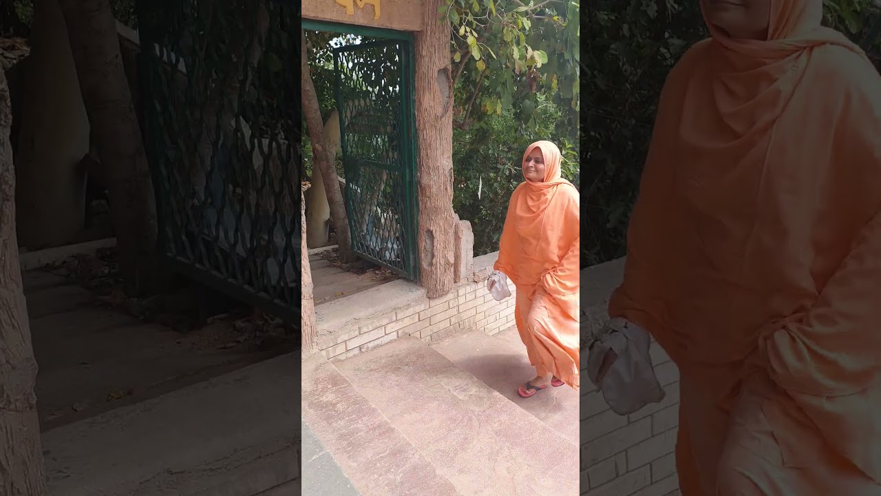 🦚Gehvar Van Man Mandir Status🦚 Barsana Dham Status #jaypriyaguruji #gahvarvan #maanmandir #barsana