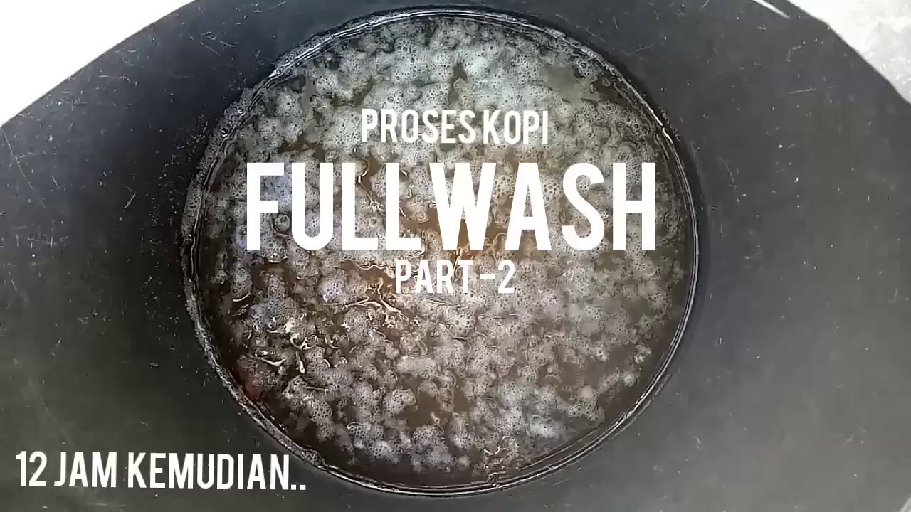 Full Wash Coffee Process (part-2)