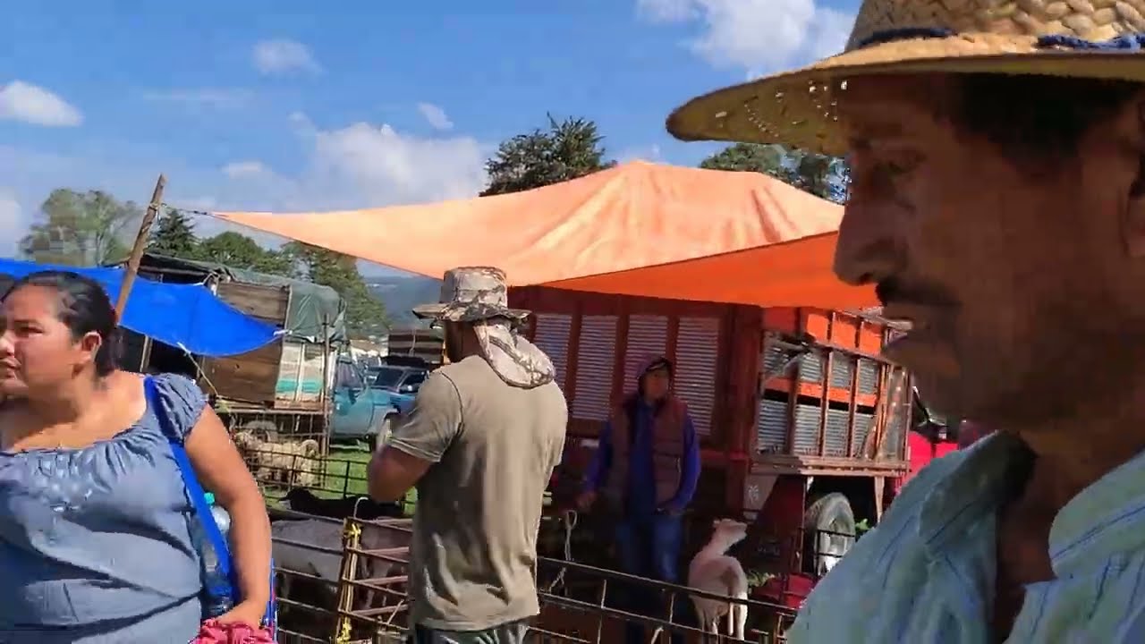 Tenancingo degollado / plaza Ganadera 