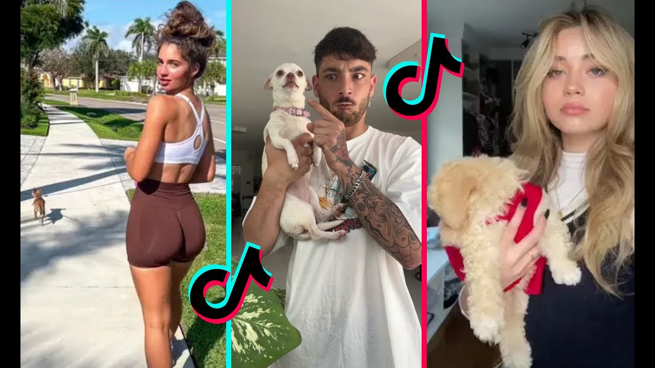 10 Minutes of Relatable Dog TikToks 🔥 | Dog TikTok & Reels