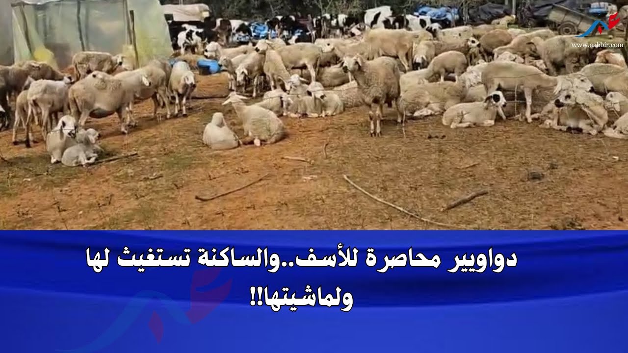 ياربي السلامة.. الفيضانات وصلات لضواحي القنيطرة او الساكنة تعيــش الرعب مع بداية ارتفاع منسوب المياه