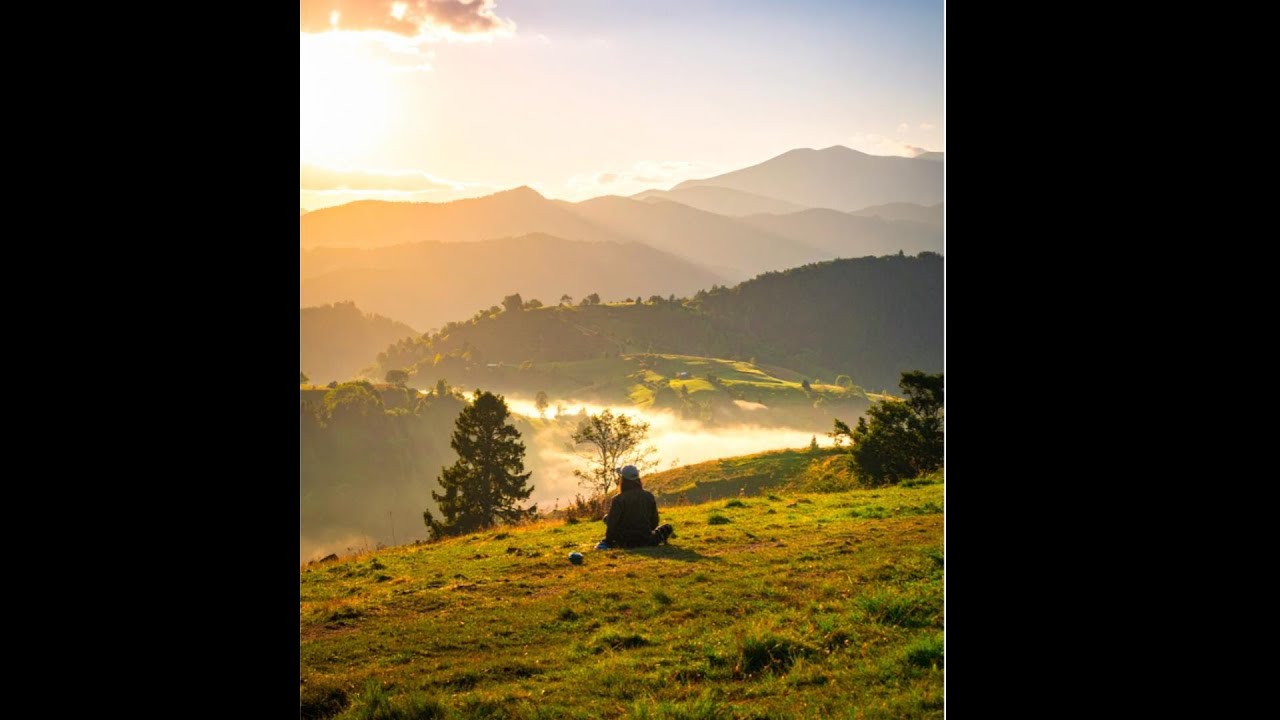 Deep Sleep Nature Sounds | Calm Forest & Bird Song for Relaxation