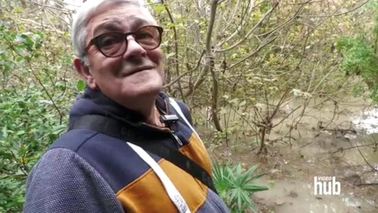 Piena del Po nel Ferrarese, famiglie costrette a evacuare: 