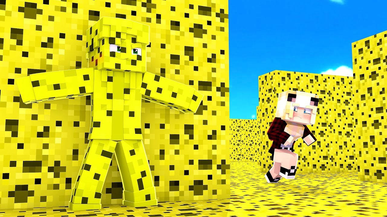 WO IST KATHA? SPONGE HIDE AND SEEK!