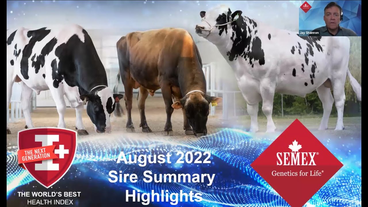 August 2022 Sire Summary Webinar