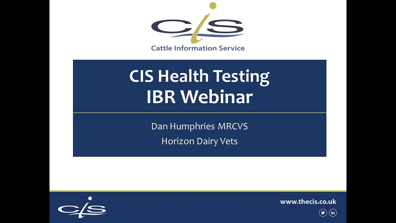 CIS Health Testing Webinar #3 - IBR