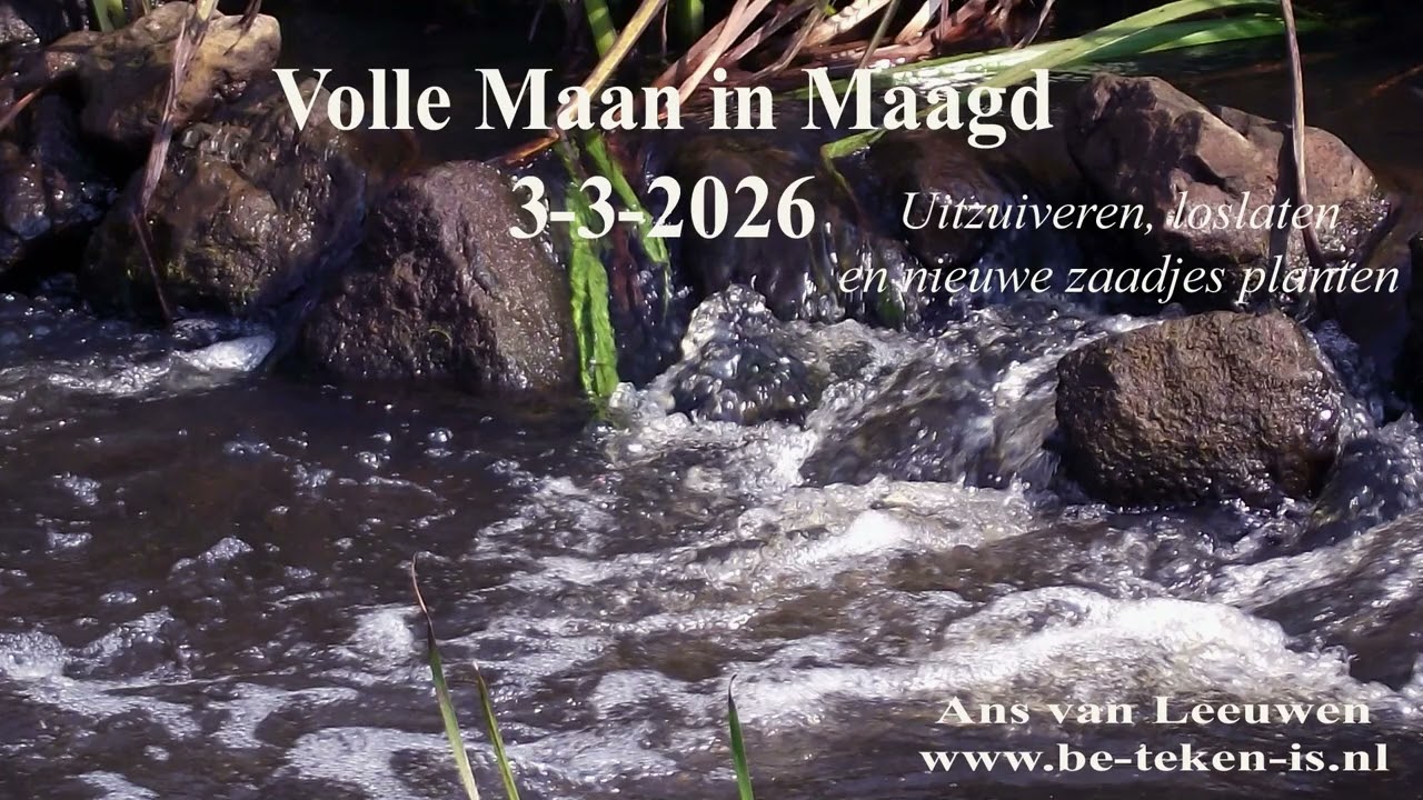 Volle Maan in Maagd 3 3 2026