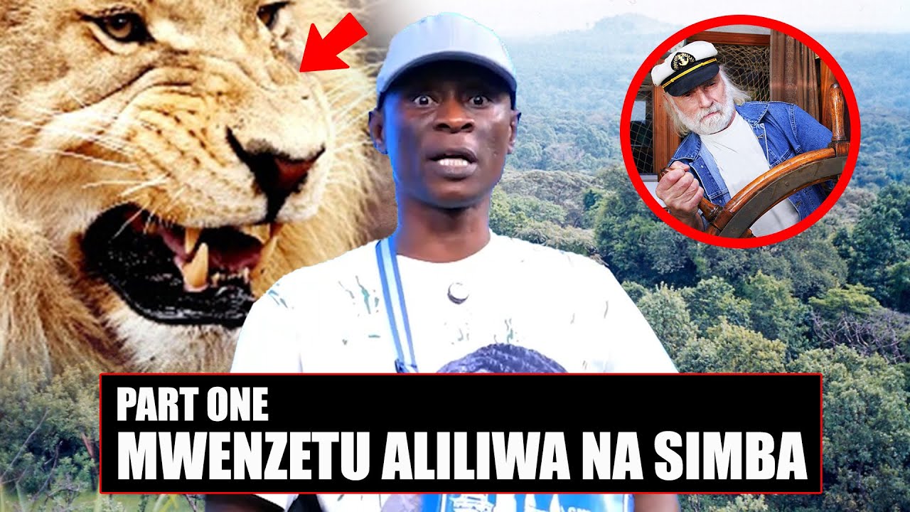 BALOZI WA MABAHARIA -MWENZETU ALILIWA NA SIMBA KWENYE MSITU WA HATARI/SAFARI YA SOUTH AFRICA