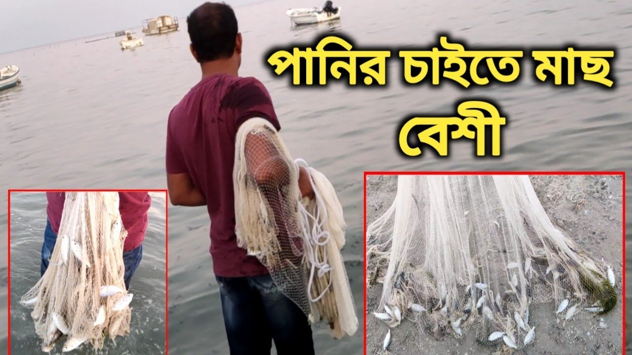 আরব সাগরে ঝাঁকি জাল দিয়ে মাছ ধরা | How to throw cast net 2021 | কুনি জাল দিয়ে মাছ ধরা | Net Fishing