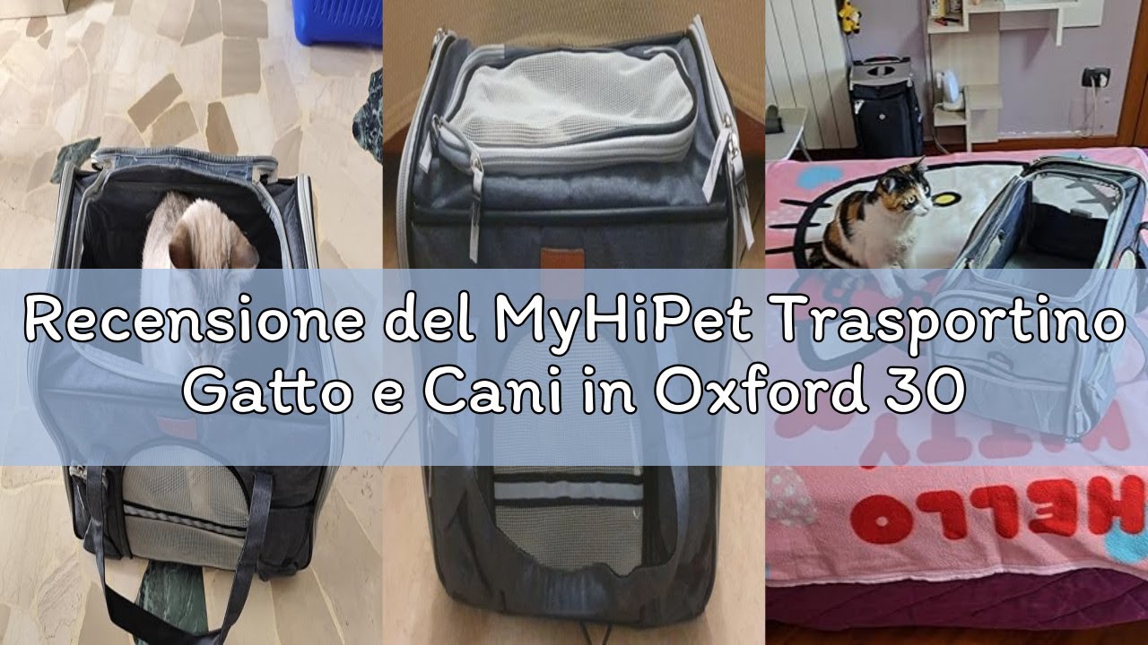 Recensione del MyHiPet Trasportino Gatto e Cani in Oxford 300D - Trasportino per cani Auto Ideale an