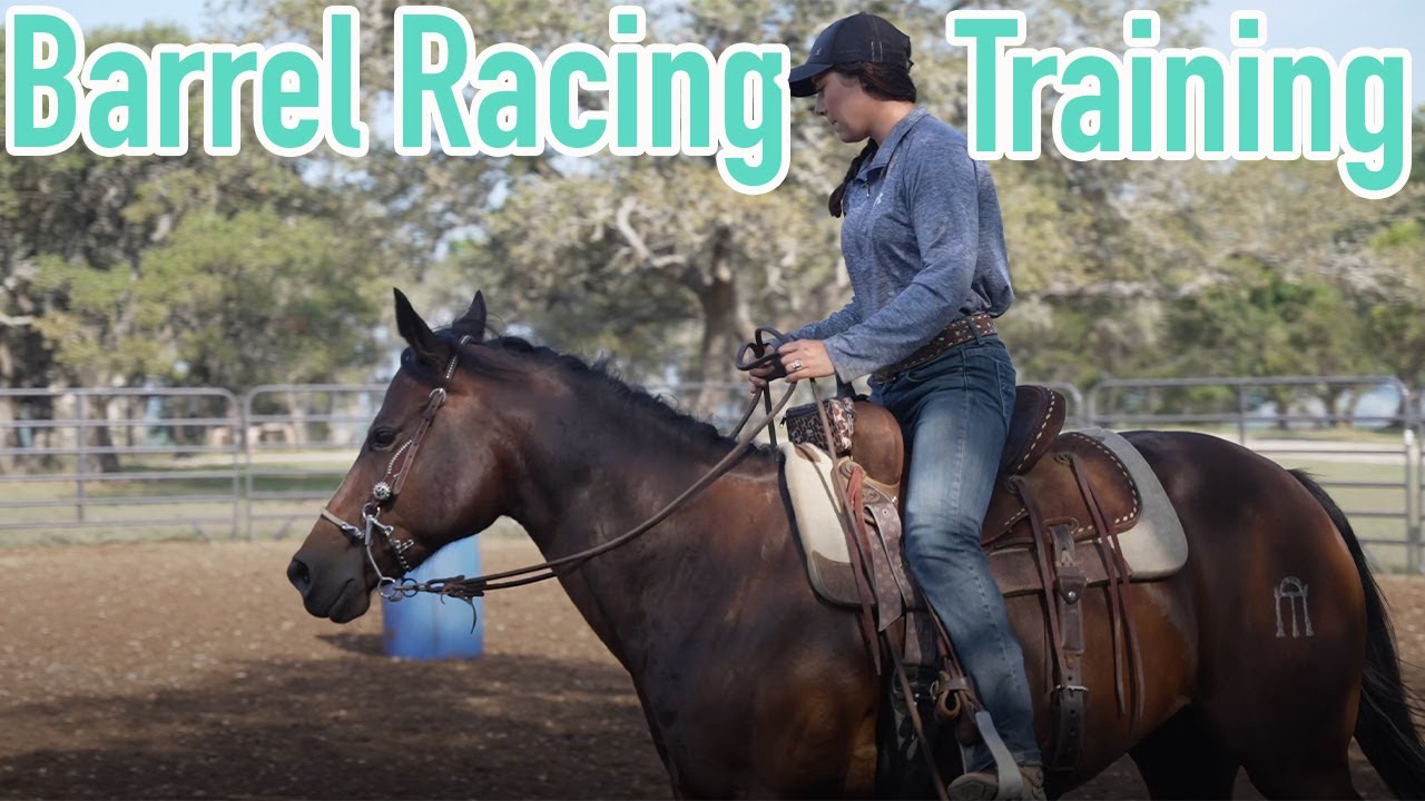 How to Train a Barrel Racing Horse with KEEquine