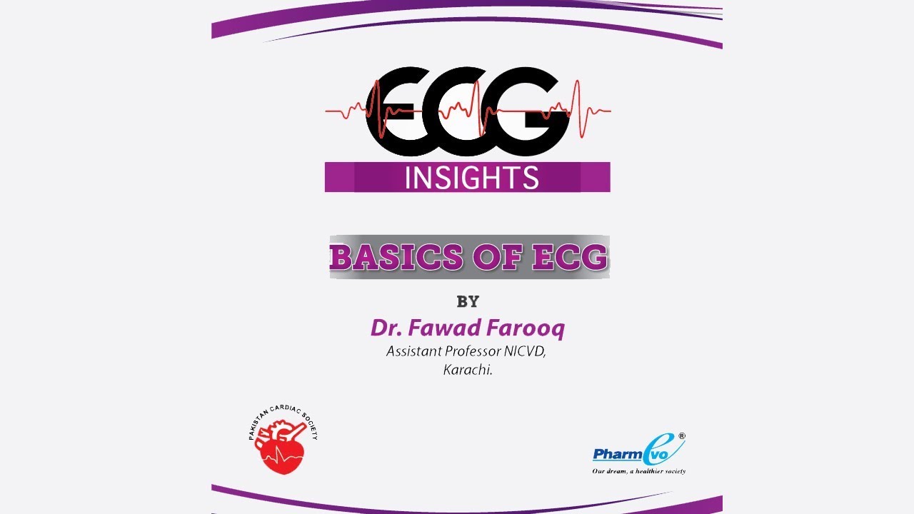 ECG Workshop  