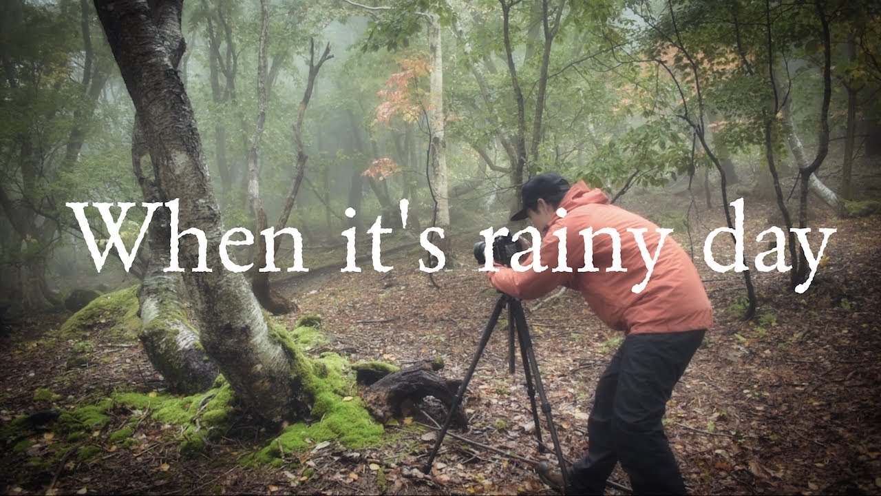 【風景写真】雨の日こそ森に行こうin秋の志賀高原｜When it's rainy day Woodland photography vlog