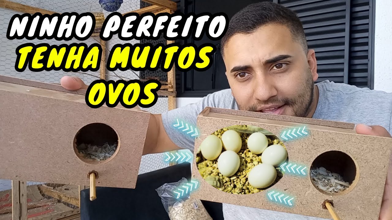 COMO PREPARAR O NINHO PARA PERIQUITO AUSTRALIANO PASSO A PASSO PARA INICIANTES NASCEM TODOS !!!