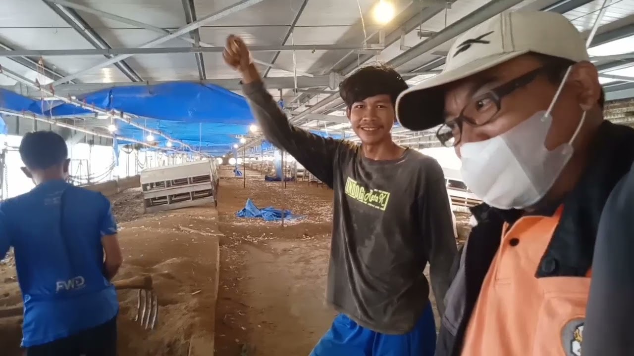 MASIH PENGOLAHAN LIMBAH KOTORAN AYAM D PT SUJA PANDEGLANG!!!