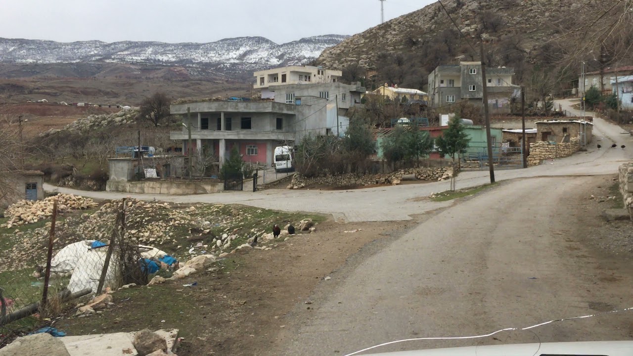 Ağaçlıpınar köyü