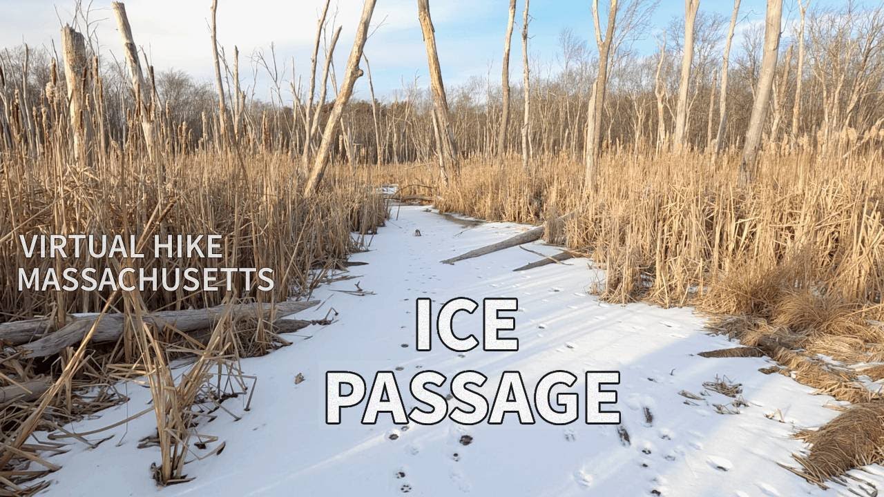 Winter Walk Across Frozen Marsh in Massachusetts