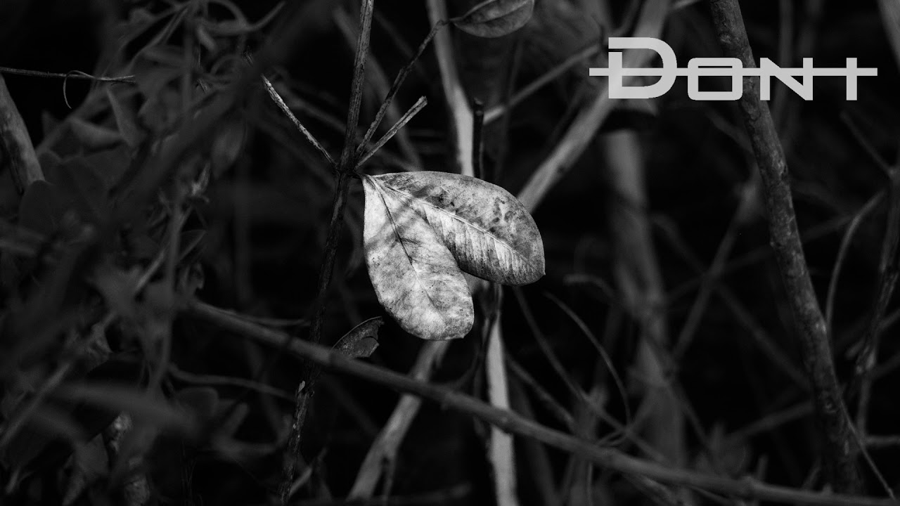 Beta Radio - Our Remains