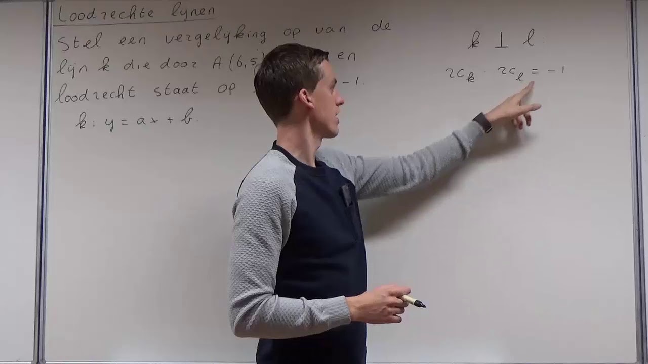 Loodrechte lijnen (HAVO wiskunde B & VWO wiskunde B)
