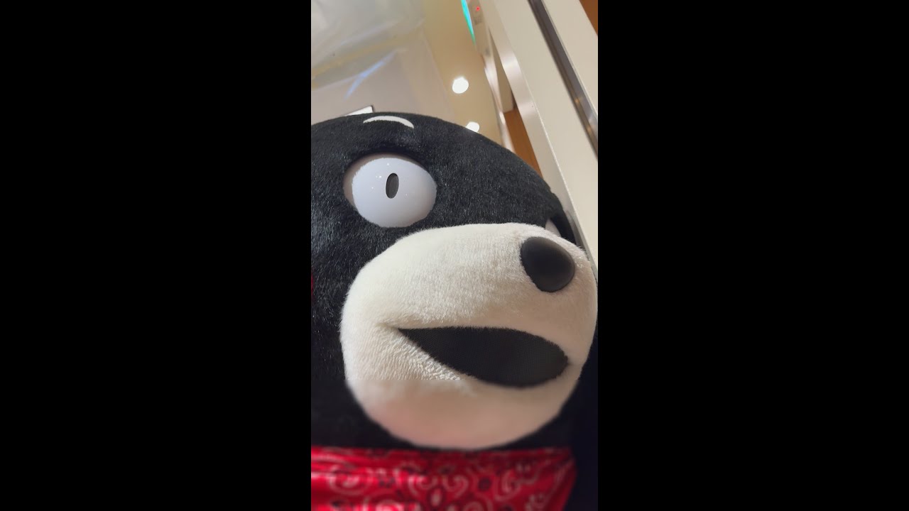 くまモンの壁ドンにドキッ！？  in くまもとあかいろフェア at 新宿高島屋