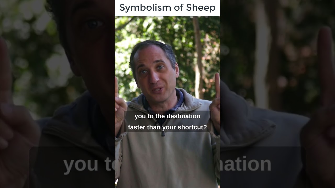 The Symbolism of Sheep in the Bible #shorts