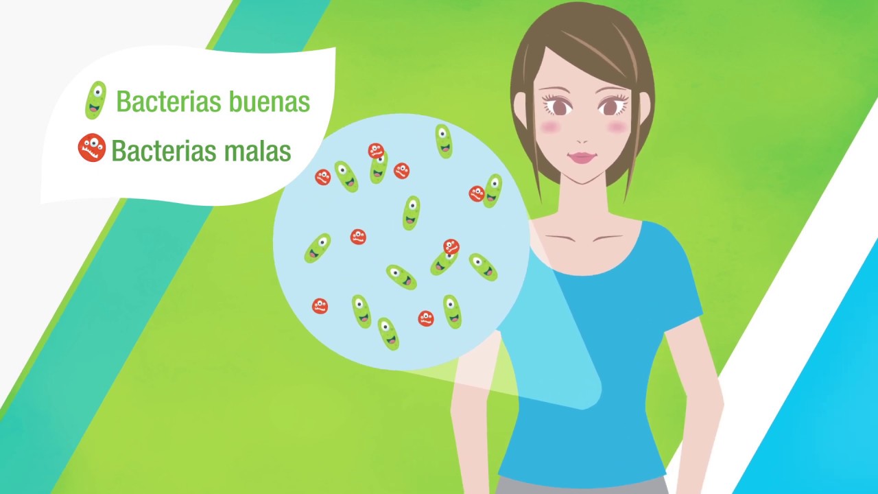 Todo acerca de los probióticos | Herbalife Nutrition México