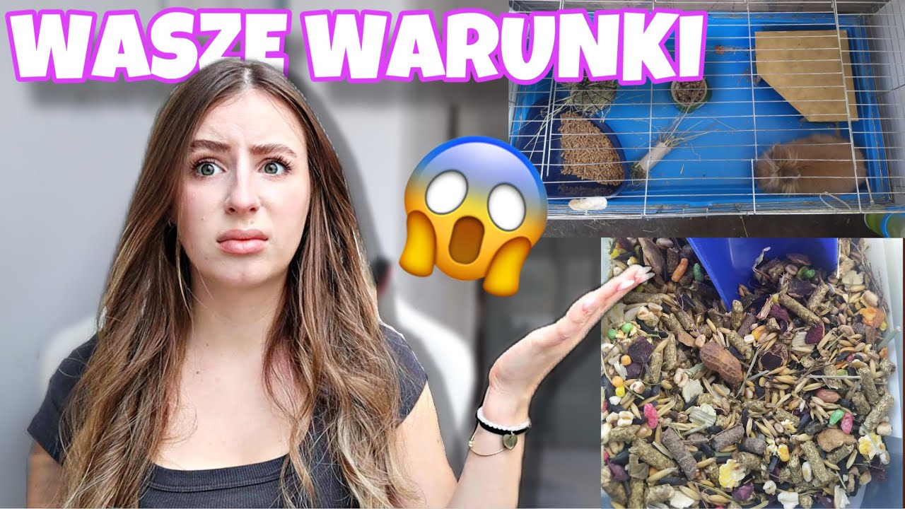 OCENIAM WARUNKI WASZYCH KRÓLIKÓW #8