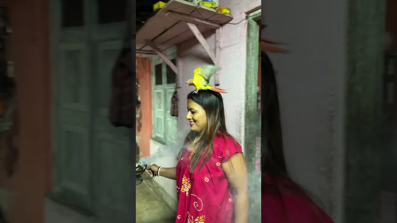 সোনা মা এর জন্মদিন ￼এর তোর জোর চলছে 