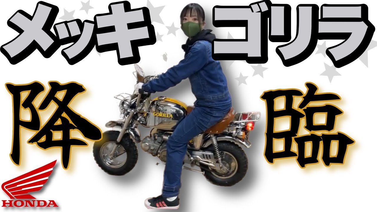 【バイク紹介】超希少なメッキゴリラ！こんなギラギラなバイクがHONDA純正だなんて！