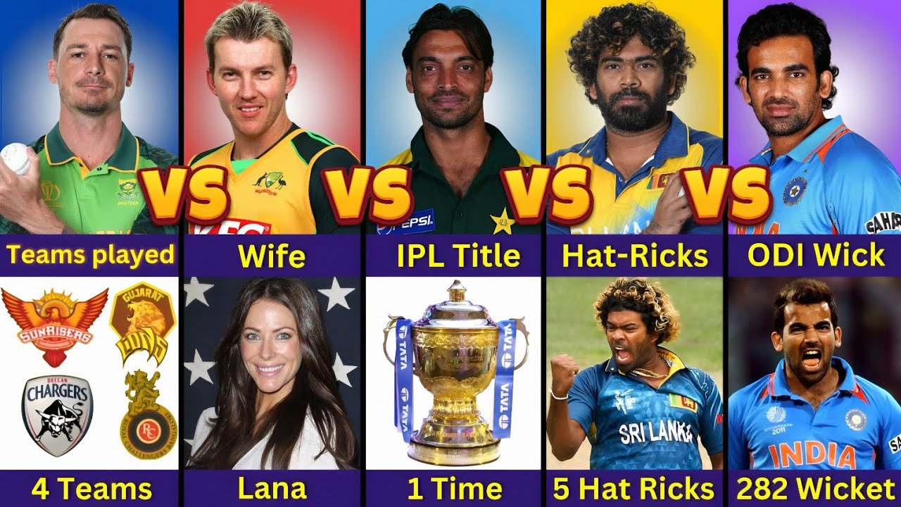Comparison: Dale Steyn vs Brett Lee vs Shoaib Akhtar vs Malinga vs Zaheer Khan