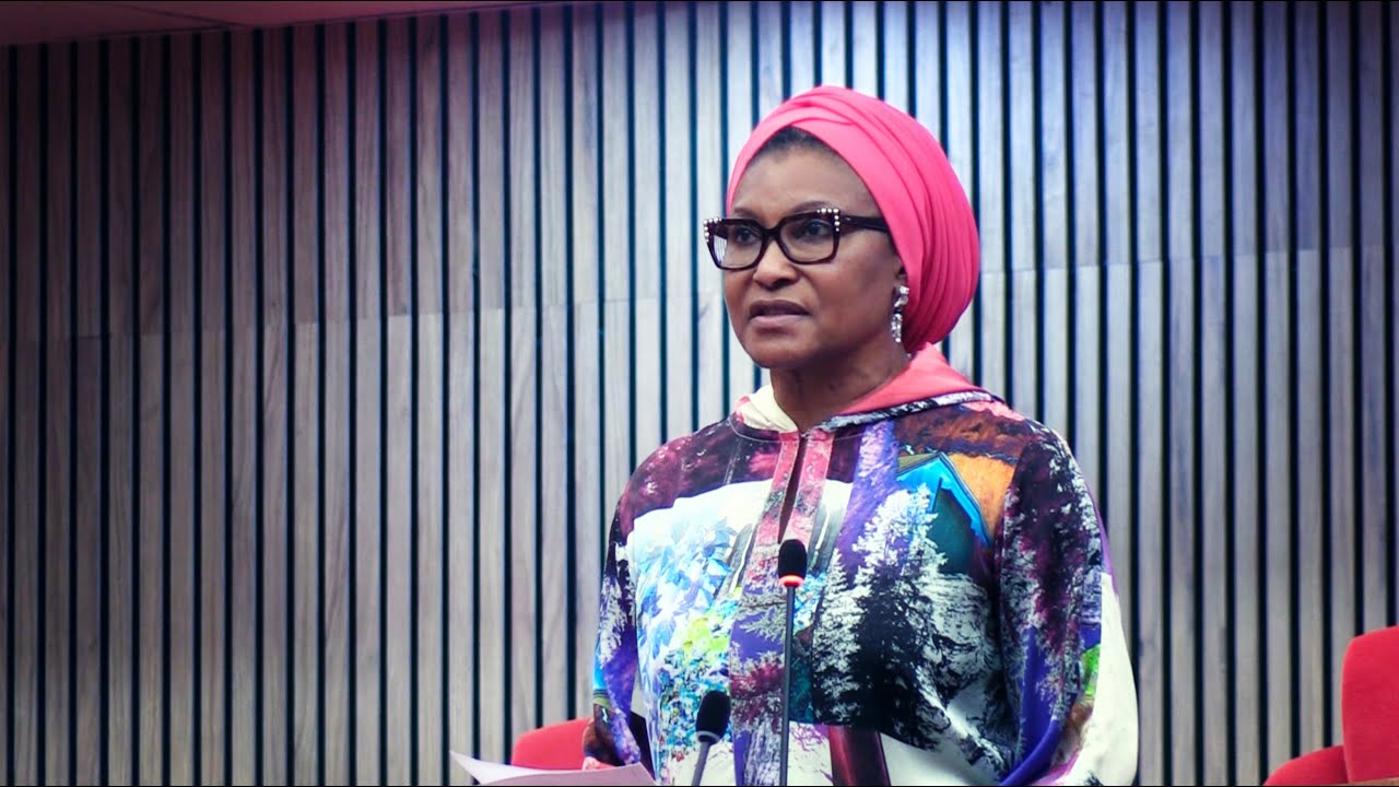 FCT Senator Ireti Kingibe Gets Overwhelming Backing From Majority Senators Over Incident In Abuja