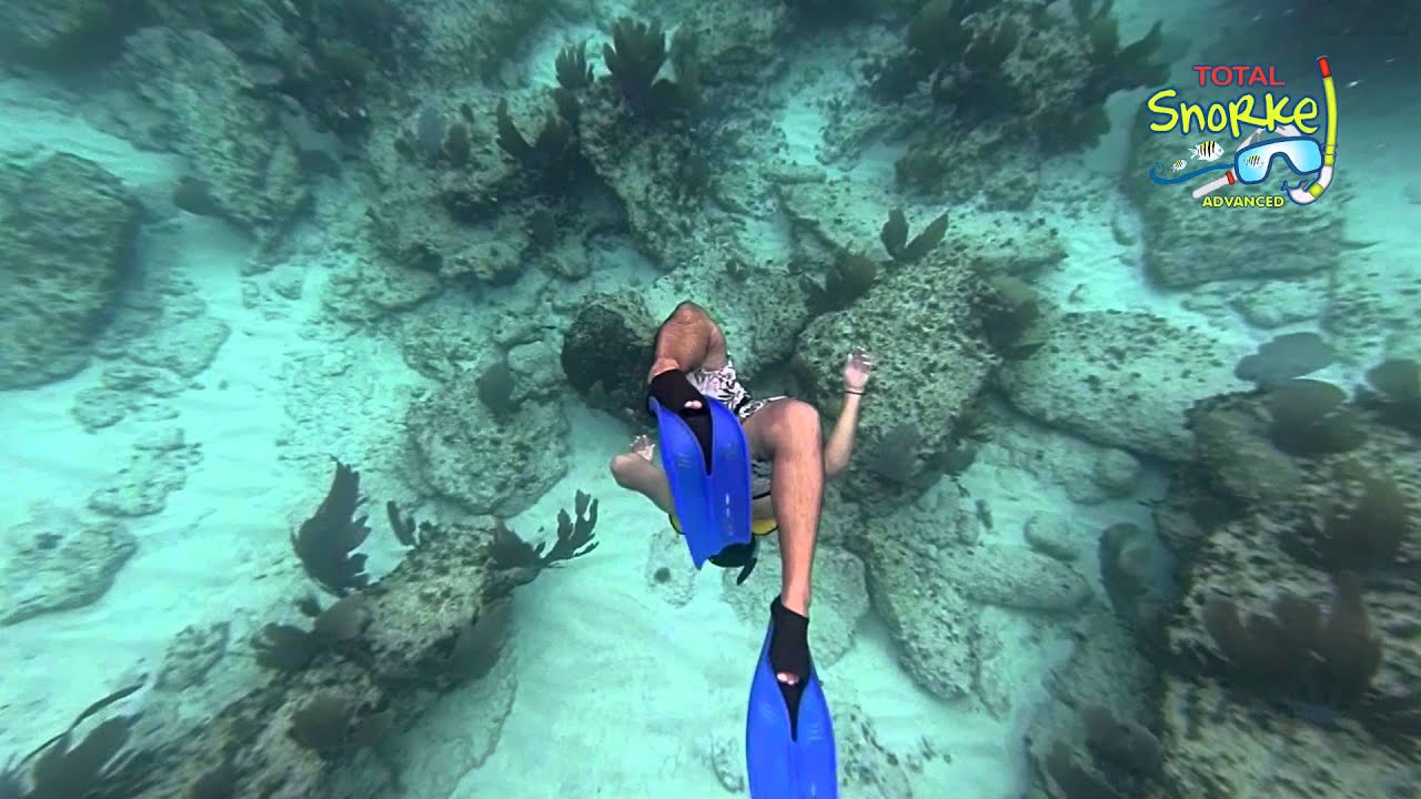 Snorkel Avanzado