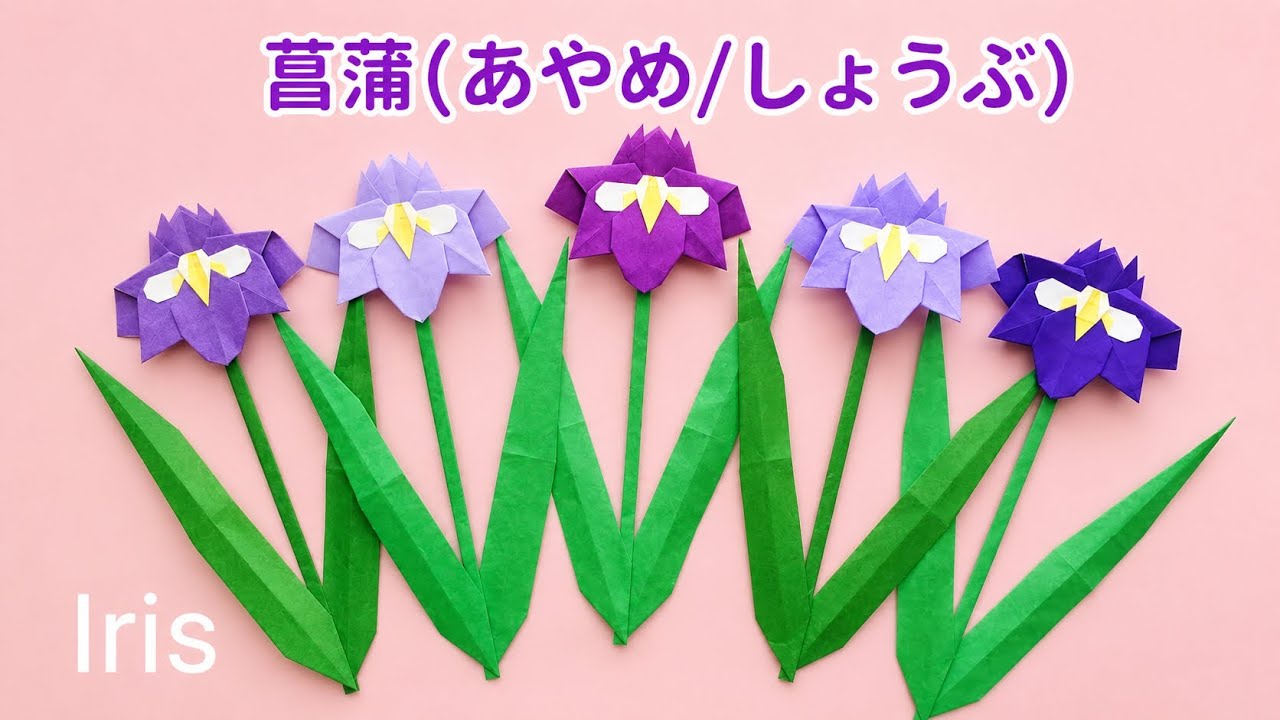 折り紙【菖蒲(あやめ/しょうぶ)】How to make Origami Iris.