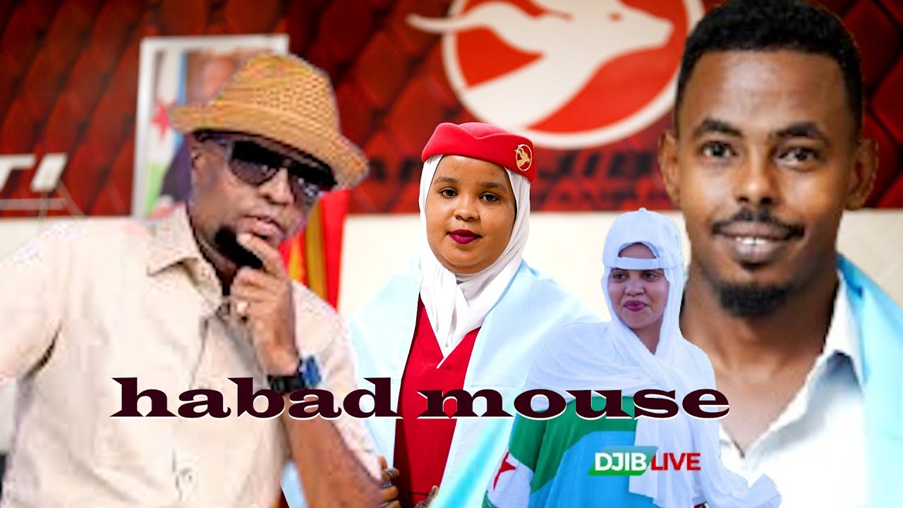 HABAD MOUSE HEES CUSUB 2025 |DJIBOUTI JANO |