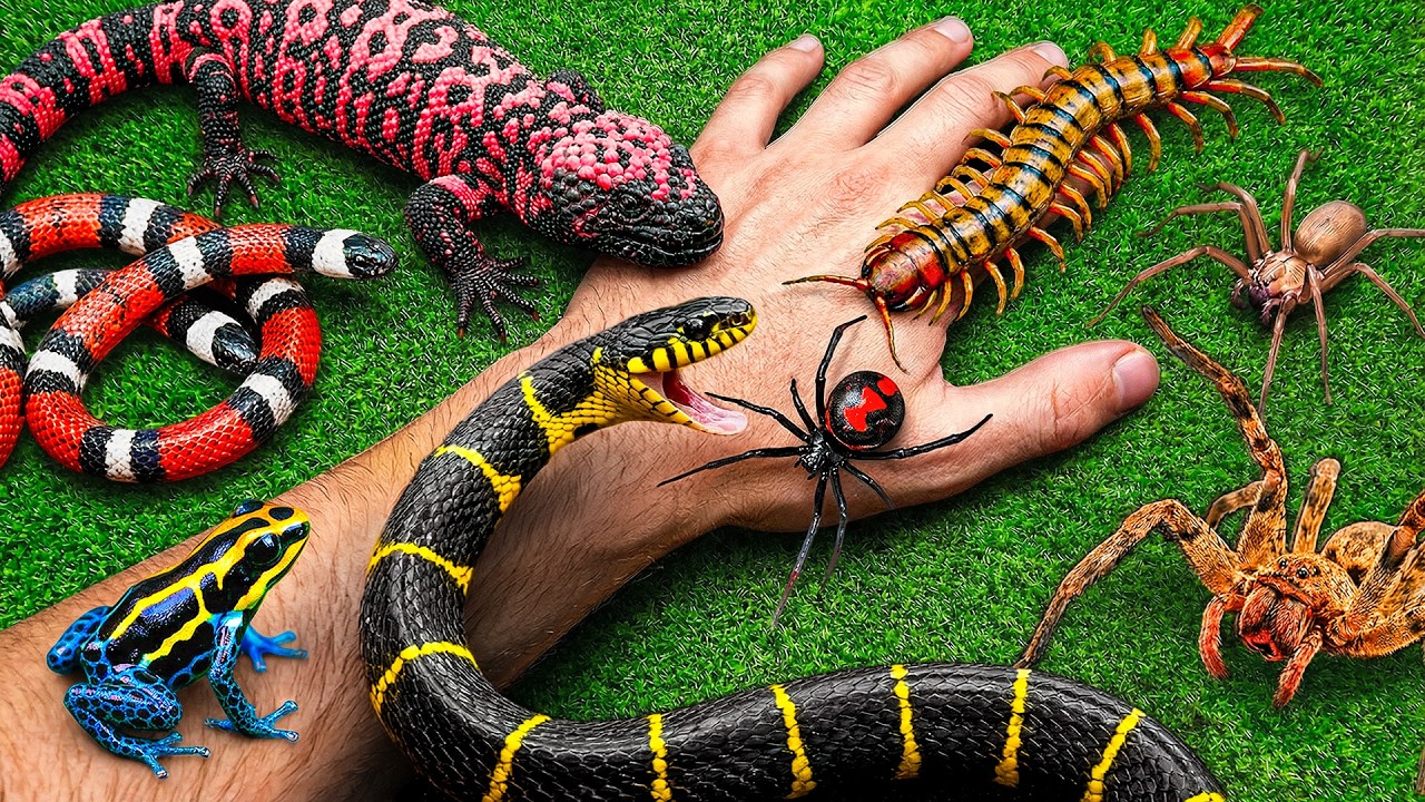 ‼️Я нашёл самых ЯДОВИТЫХ животных в мире‼️