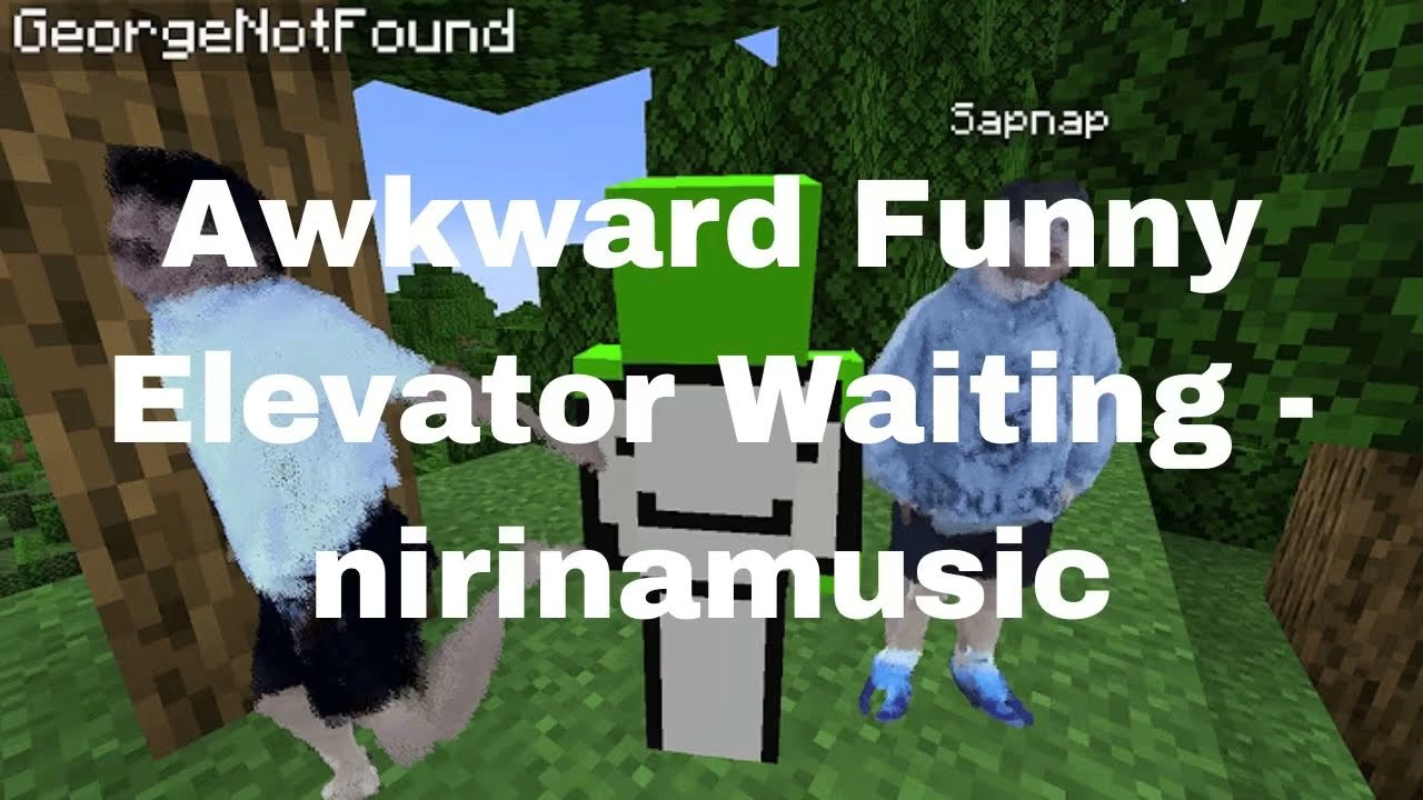 Awkward Funny Elevator Waiting - nirinamusic [I added humans to Minecraft...]