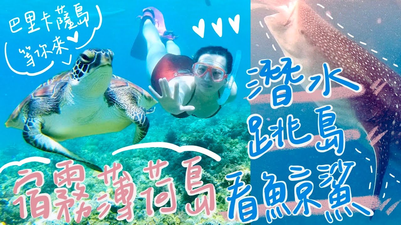 【菲律賓宿霧| 薄荷島】潛水、跳島、看鯨鯊！到薄荷島一訪海底世界：巴里卡薩大斷層、絕美處女島、溫柔巨人鯨鯊《玩水篇》Vlog in Cebu Bohol island [4K]