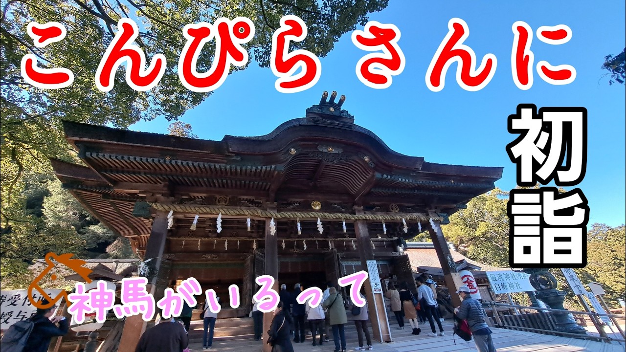 午年だし、こんぴらさんの神馬に会いに行こう！【Year of the Horse: Meeting Konpira’s Sacred Horse!】