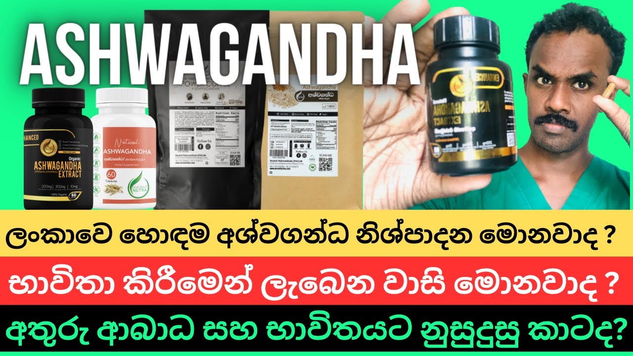 අශ්වගන්ධ පිළිබඳ ඔබ දැනගත යුතු සියලුම කරුනු | Ashwagandha best sinhala review On youtube