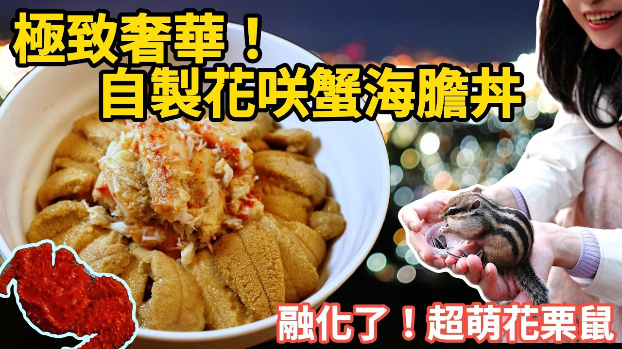 自製超奢侈花咲蟹海膽丼🦀！超萌花栗鼠🐿️ +《初戀》同款夜景｜🇯🇵吃爆道央一小圈 EP9