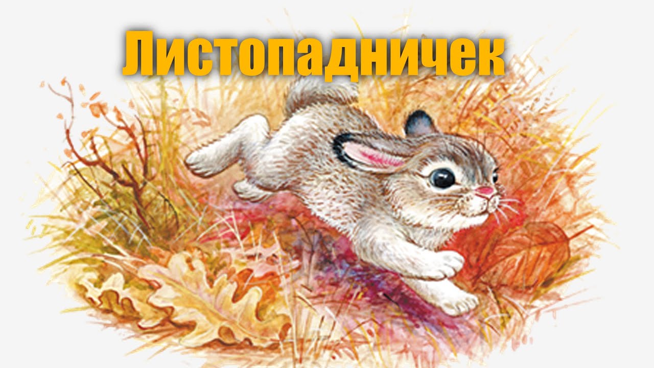 И.С.Соколов-Микитов 