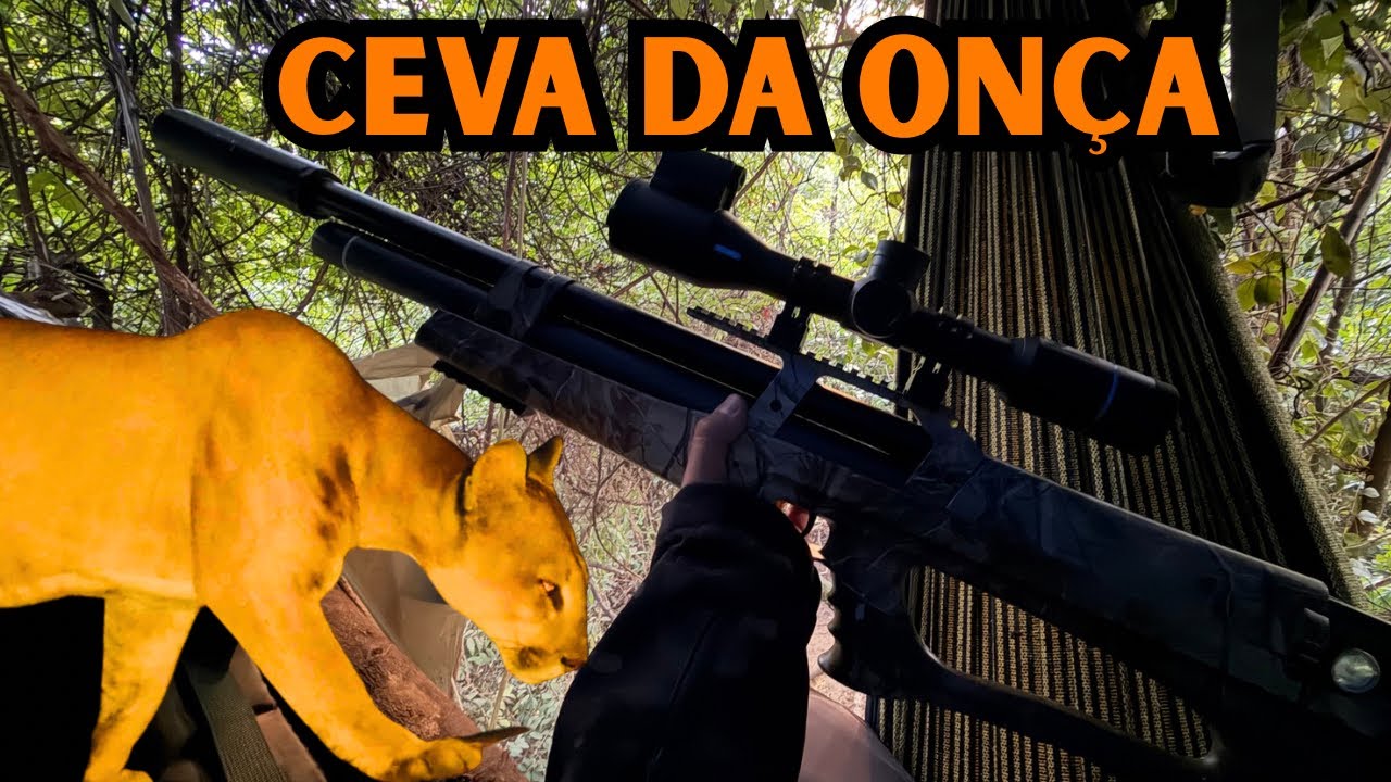 Ca&ccedil;ada de JAVALI na ceva do  @Cabeceirasniper   , ON&Ccedil;A atacou o bando do meu lado