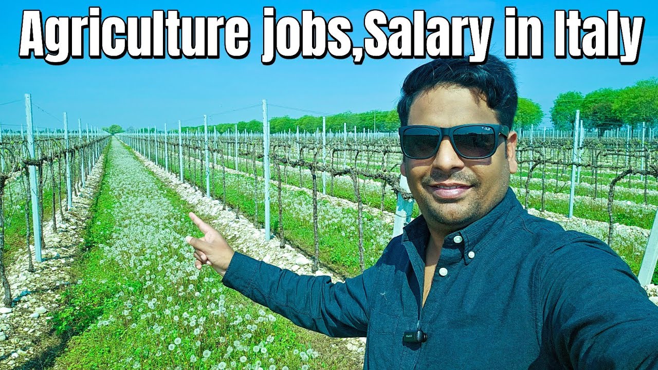 Agriculture jobs and salary in Italy Pakistani Indian | jobs in Italy | Gullu vlogs